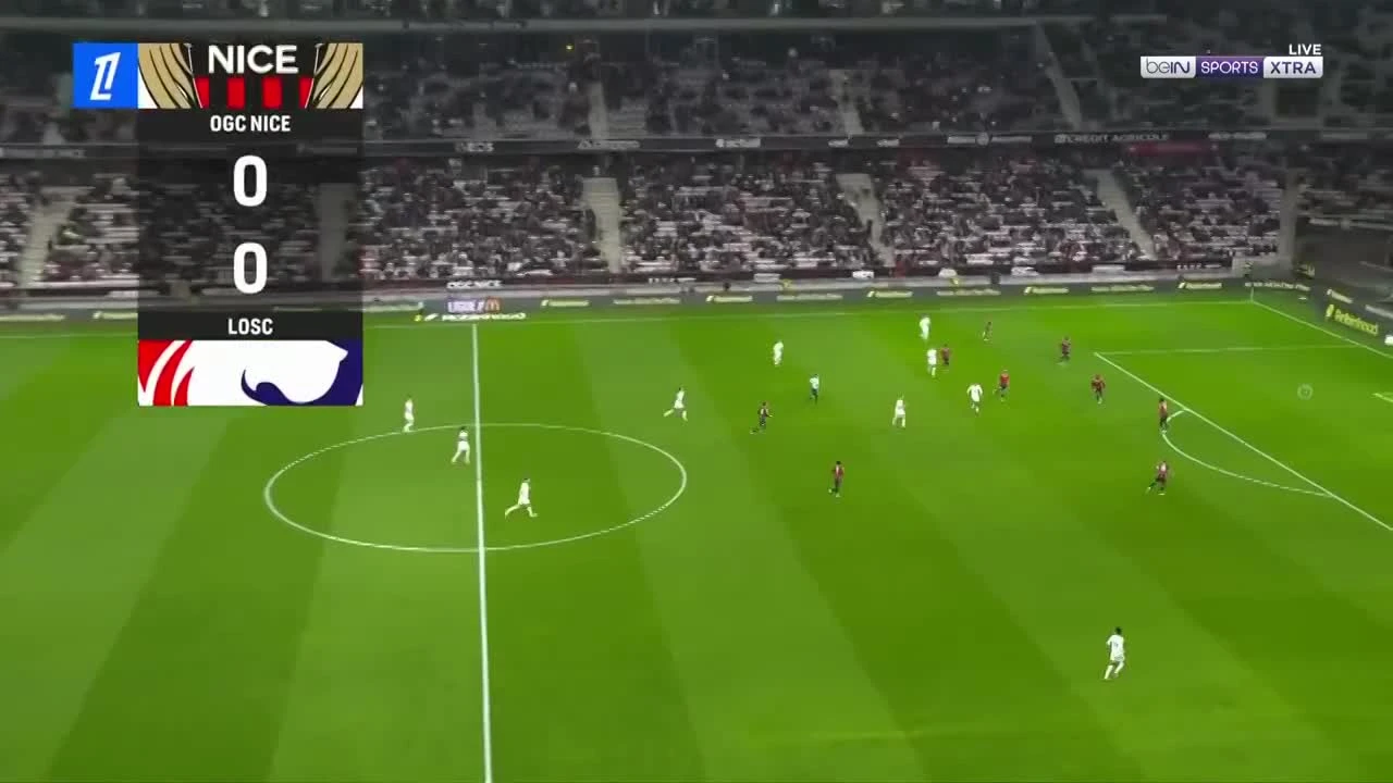 zaslepka skrotu video