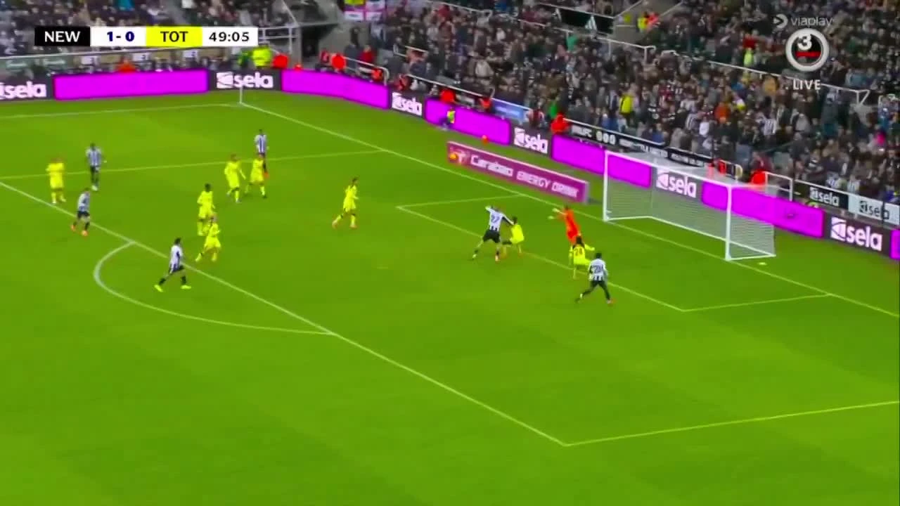 zaslepka skrotu video