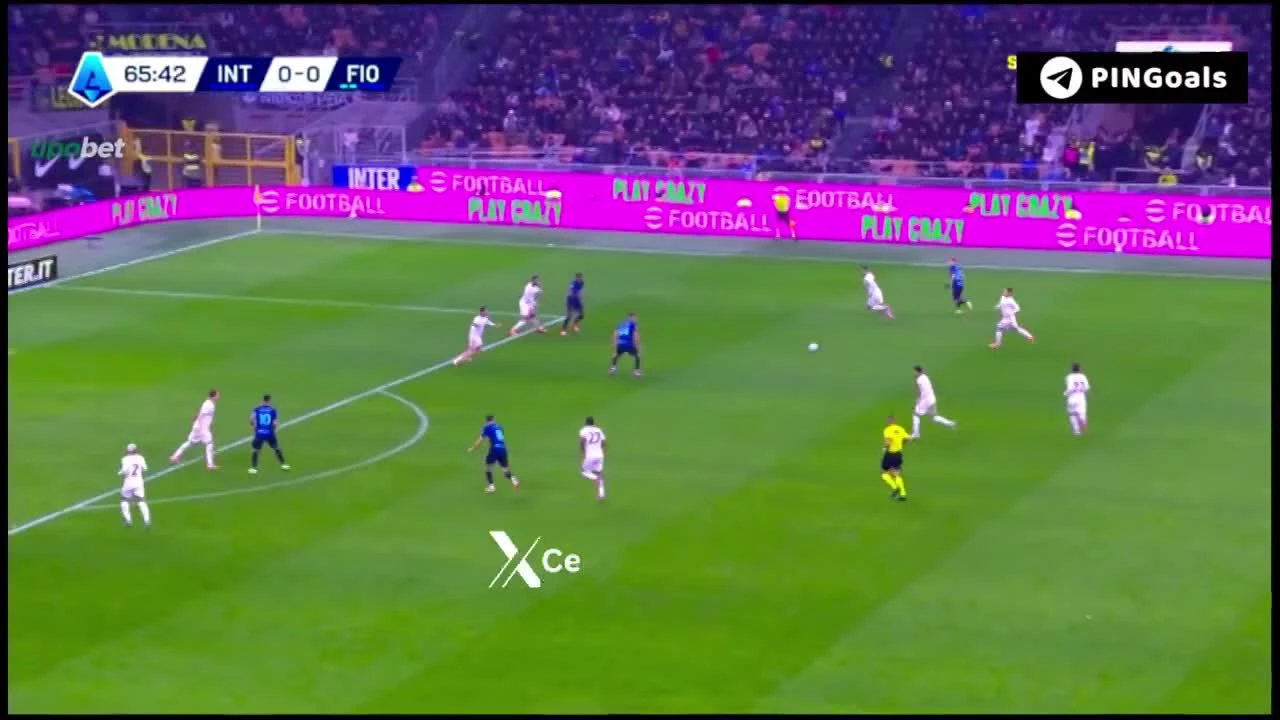 zaslepka skrotu video