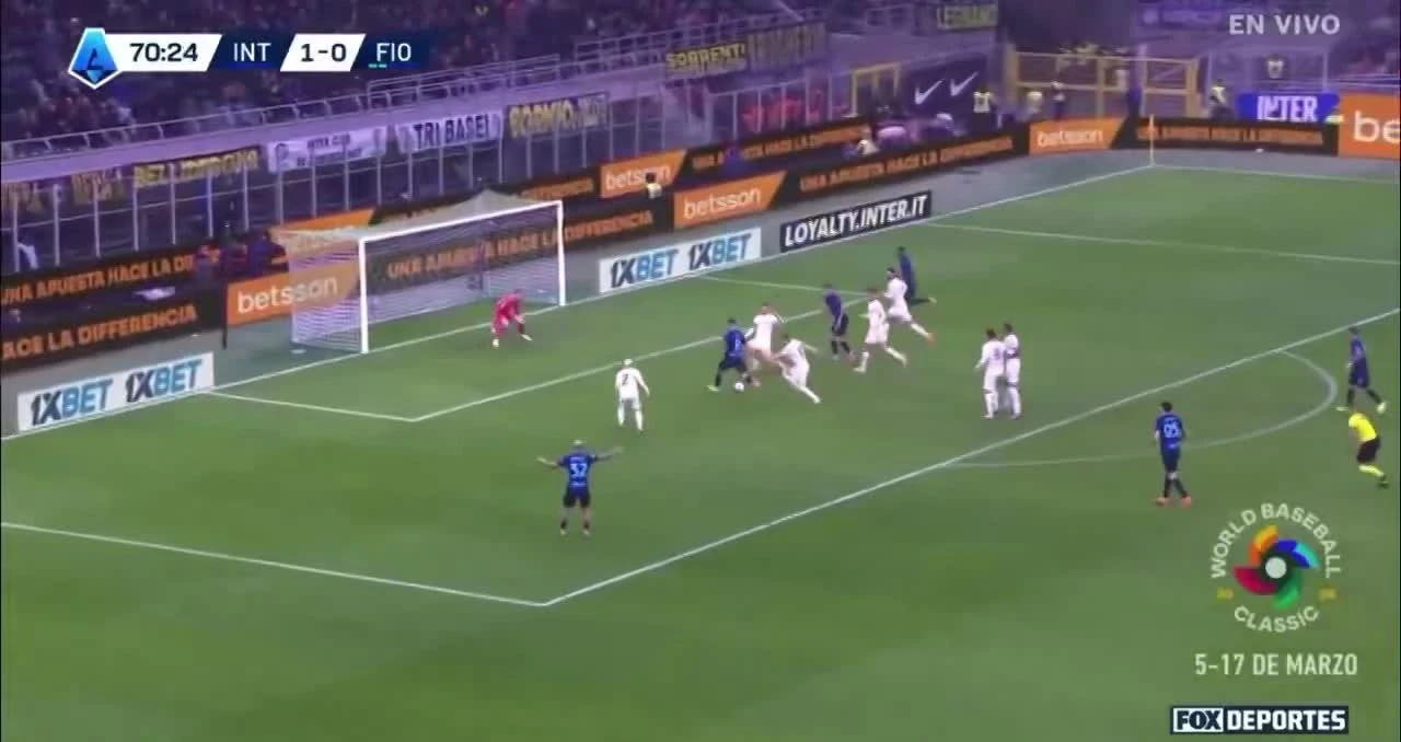 zaslepka skrotu video