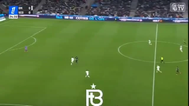 zaslepka skrotu video