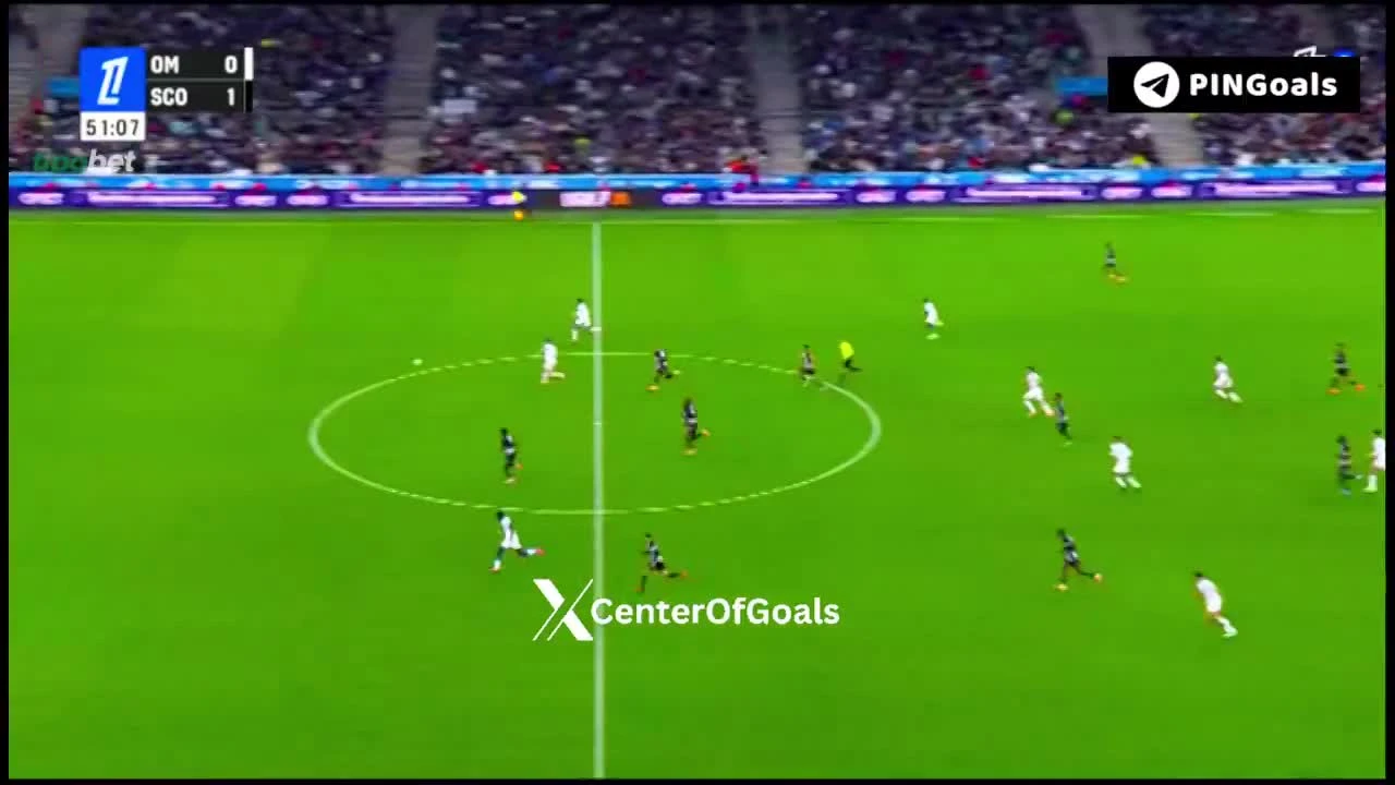 zaslepka skrotu video