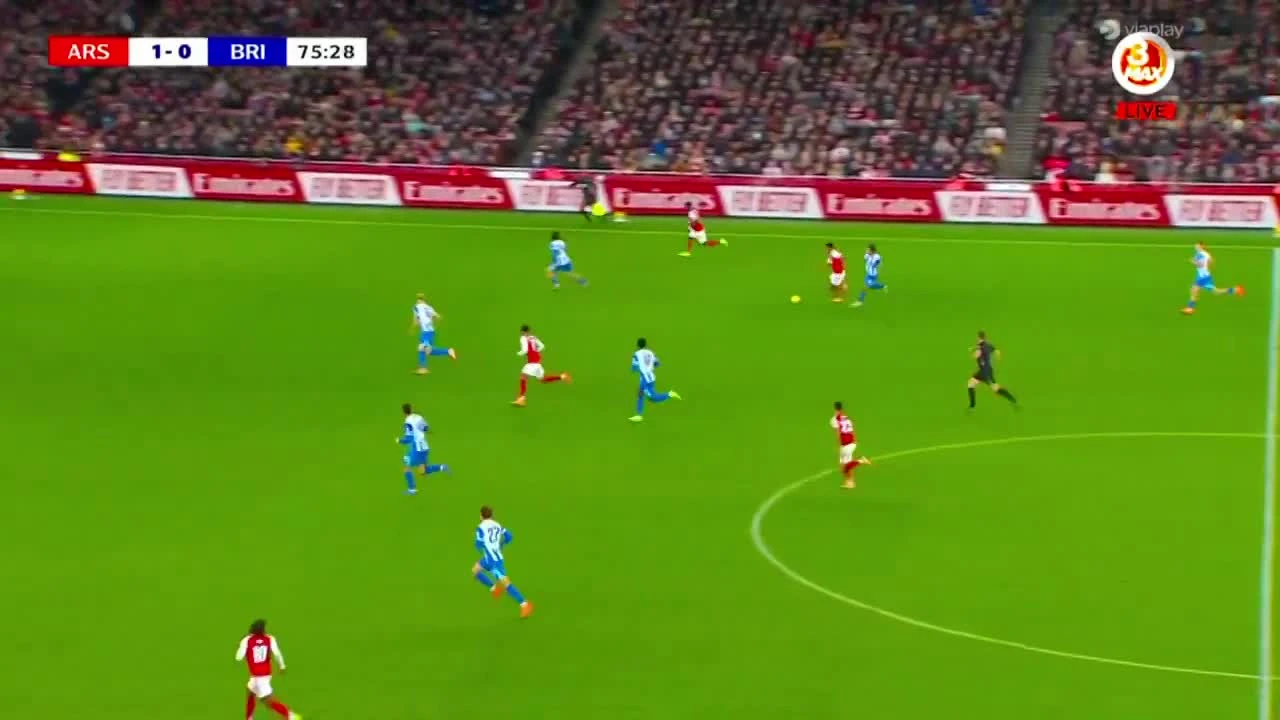 zaslepka skrotu video