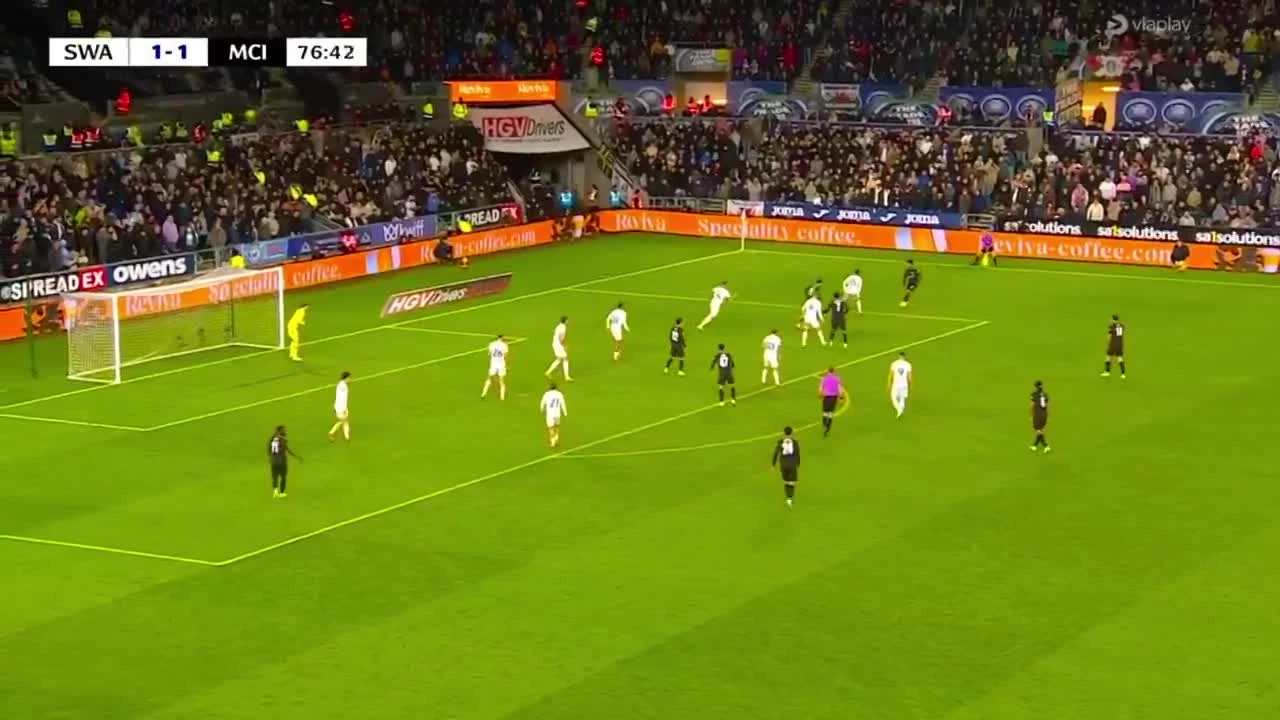 zaslepka skrotu video