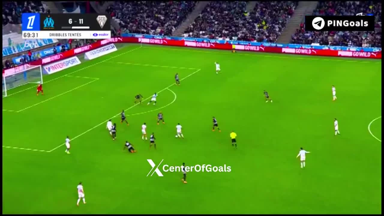 zaslepka skrotu video