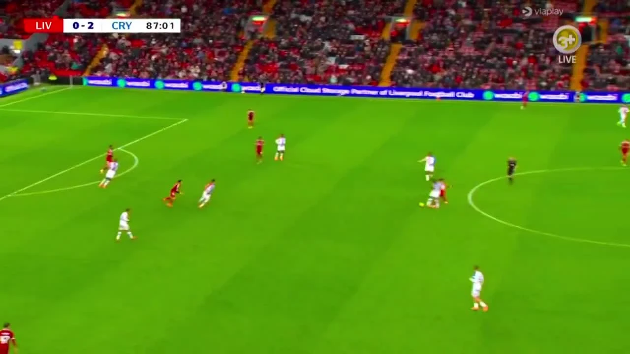 zaslepka skrotu video