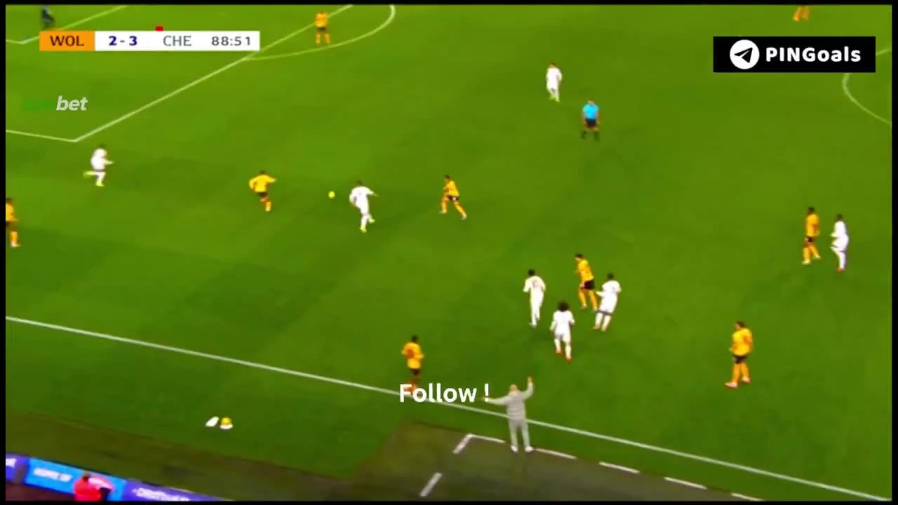 zaslepka skrotu video