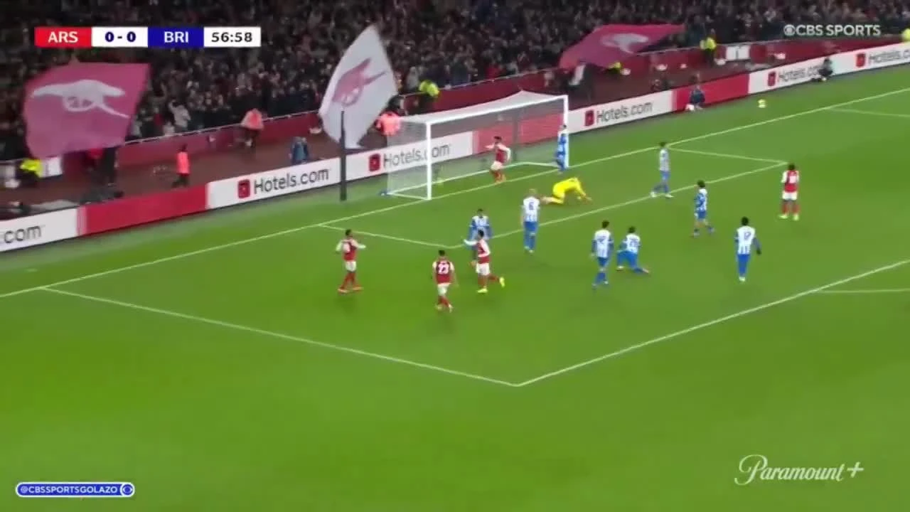 zaslepka skrotu video