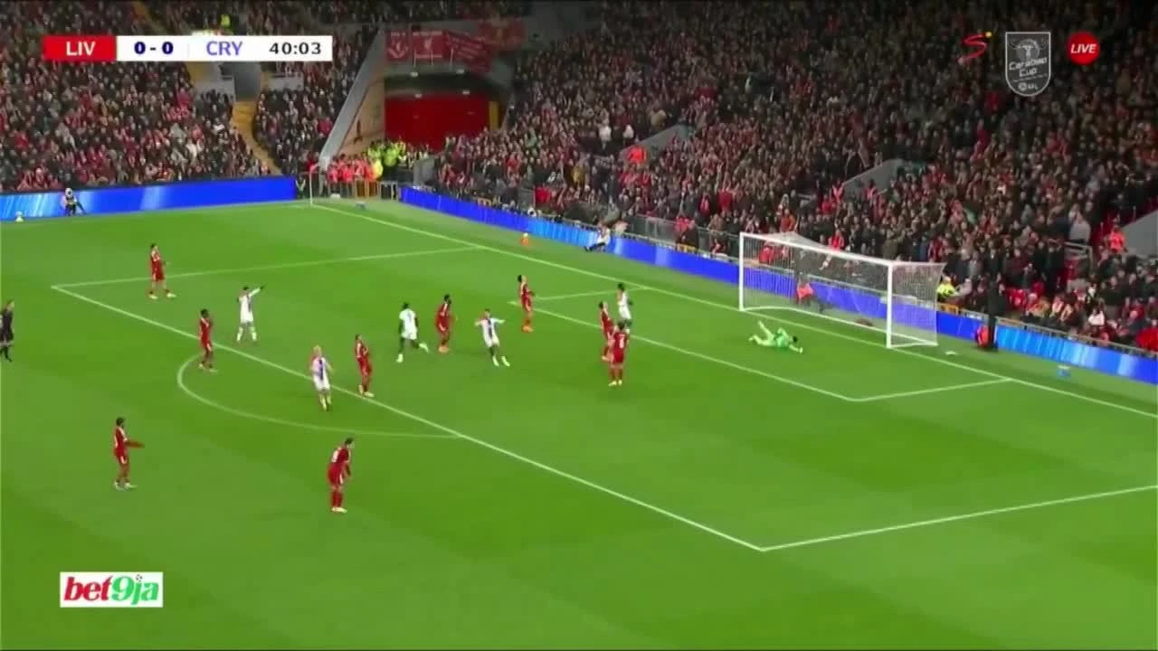 zaslepka skrotu video