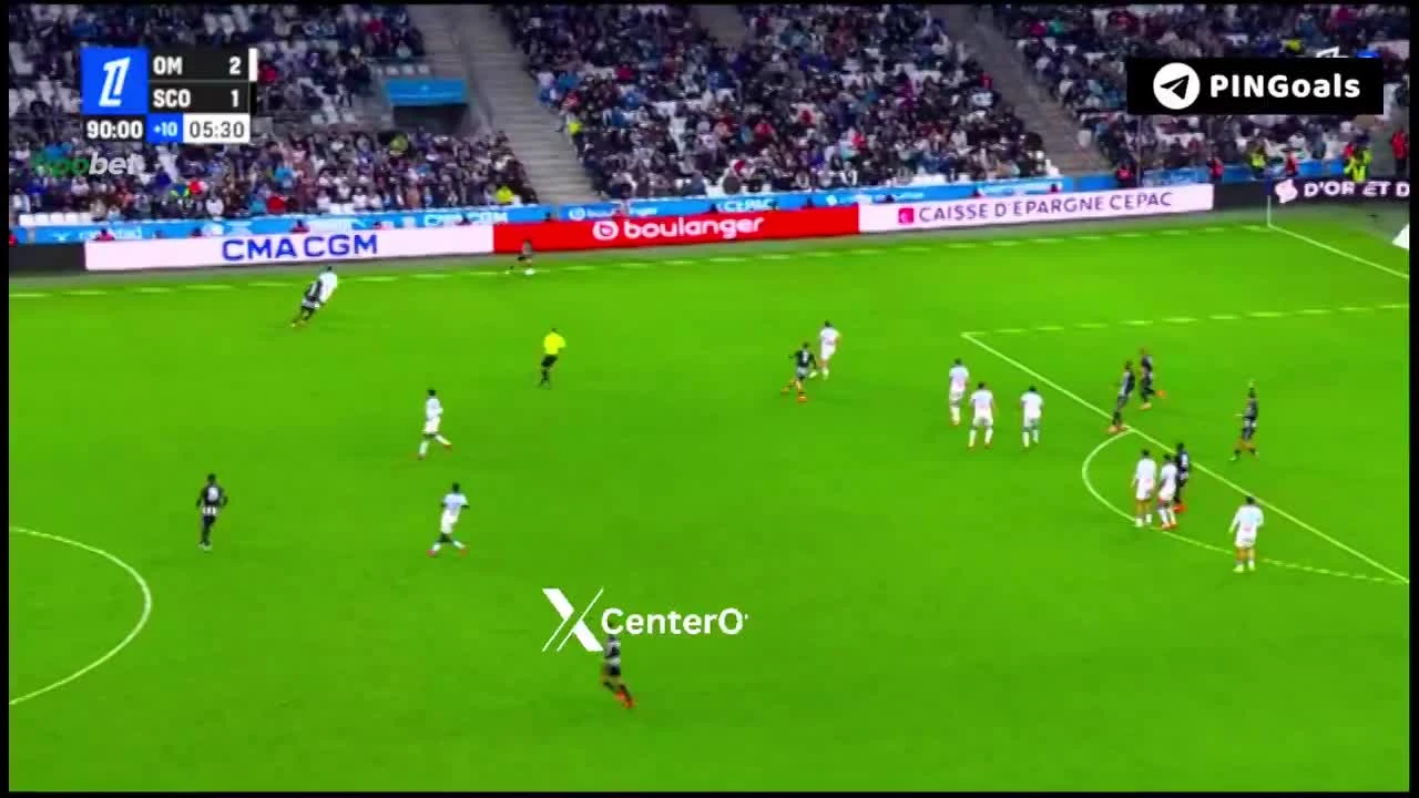 zaslepka skrotu video