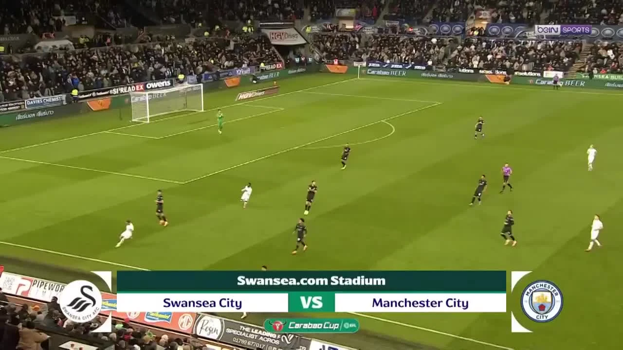 zaslepka skrotu video