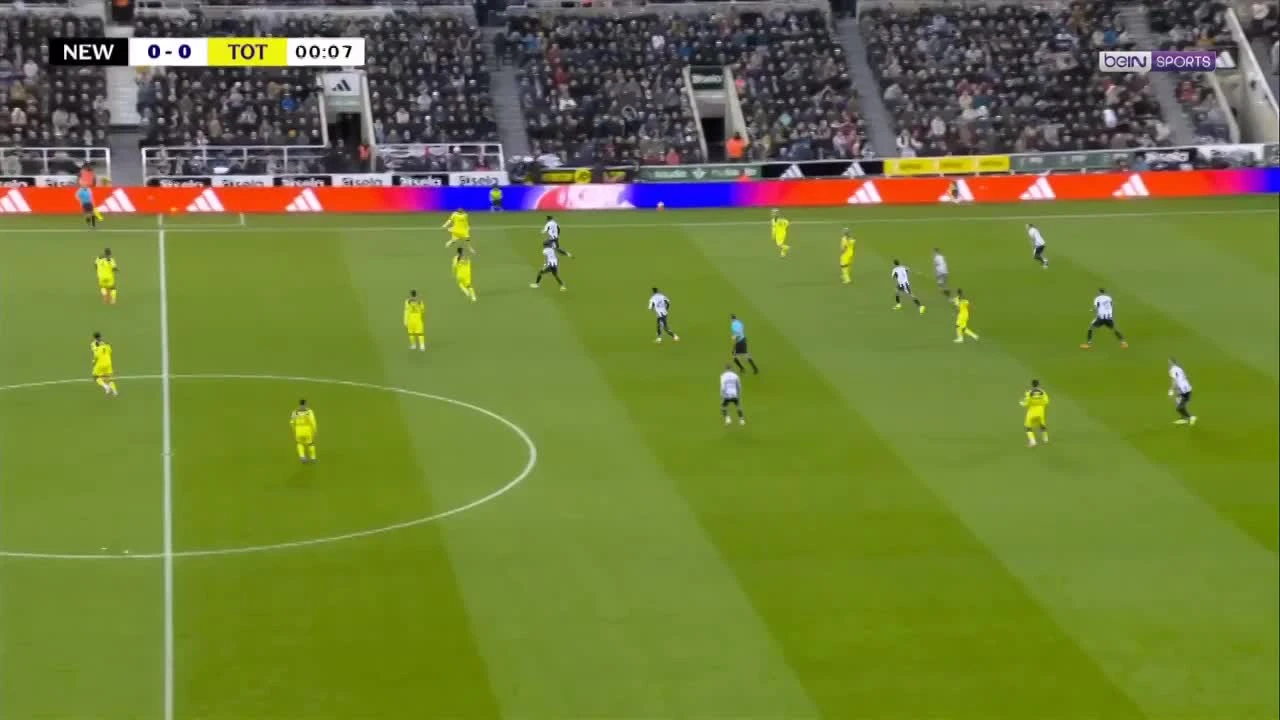 zaslepka skrotu video