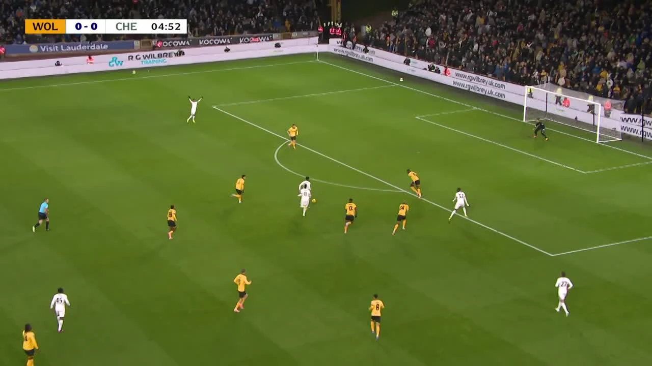 zaslepka skrotu video