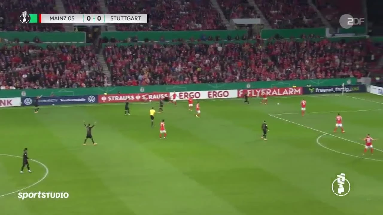 zaslepka skrotu video