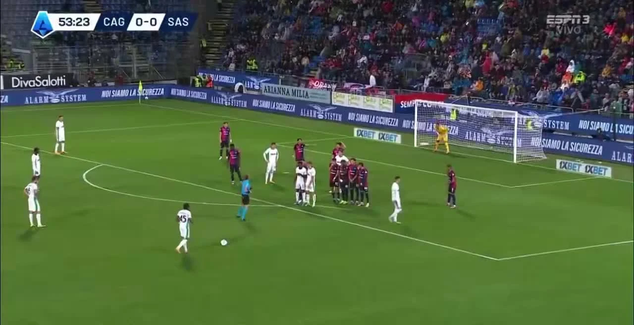 zaslepka skrotu video