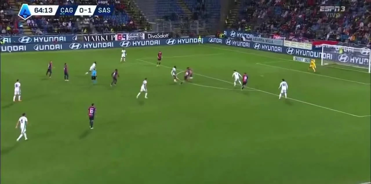 zaslepka skrotu video