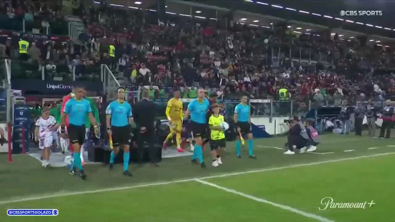 zaslepka skrotu video