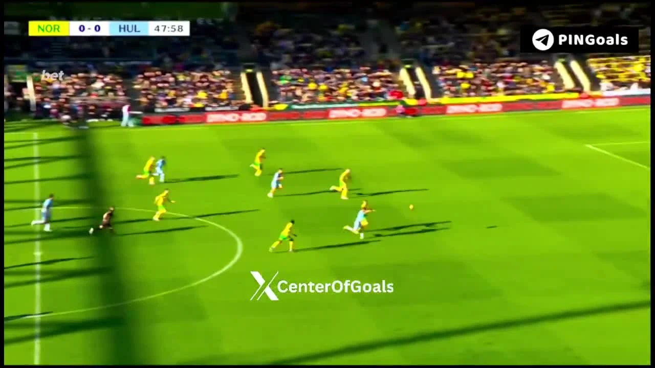 zaslepka skrotu video