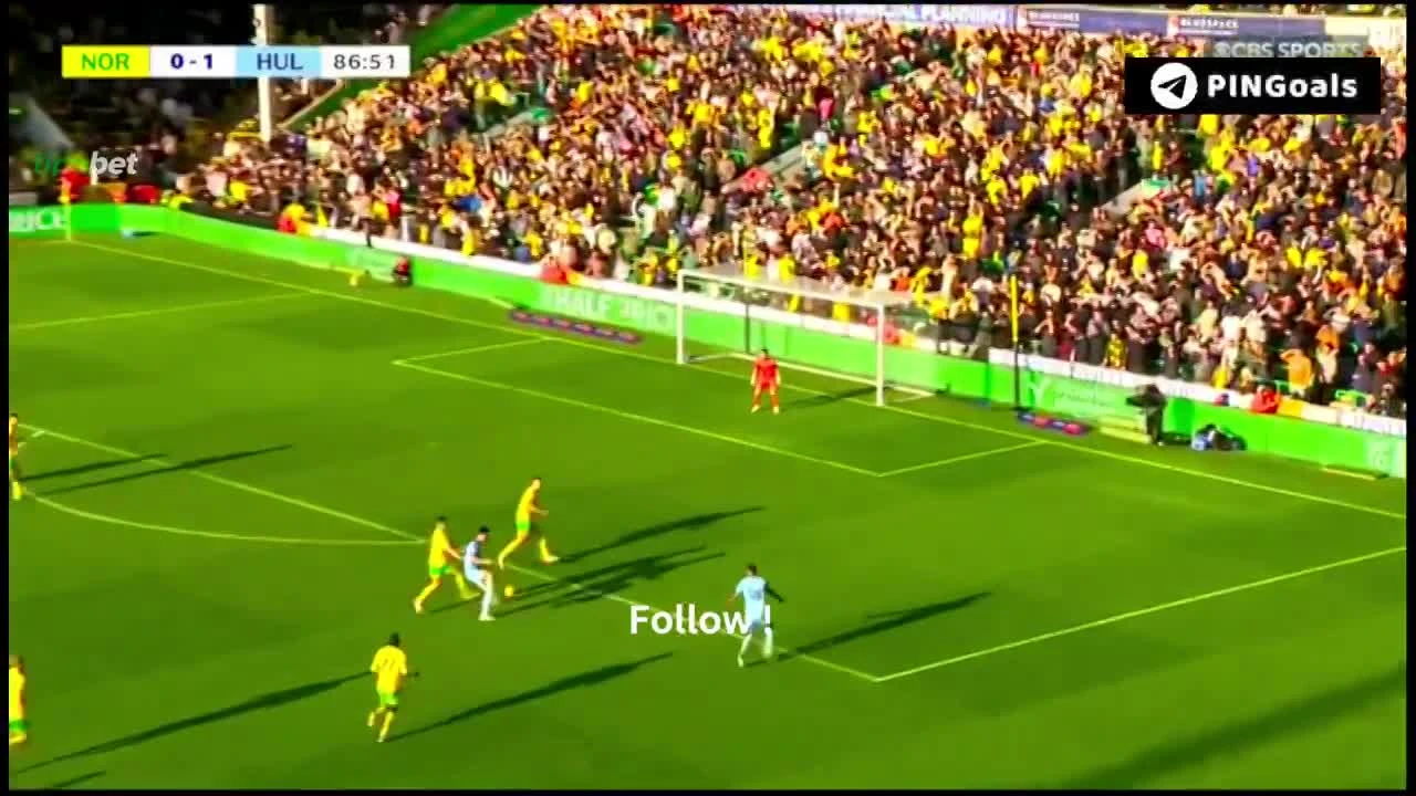 zaslepka skrotu video