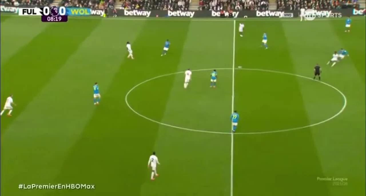 zaslepka skrotu video