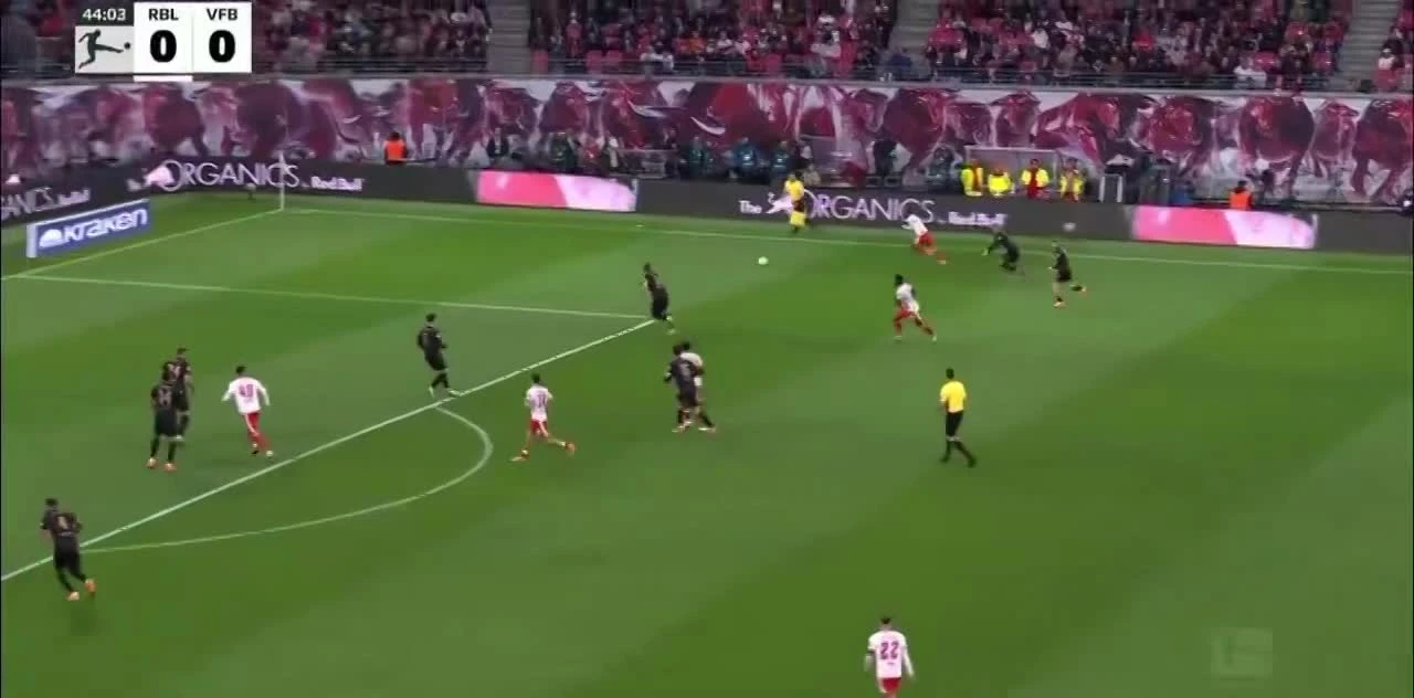 zaslepka skrotu video