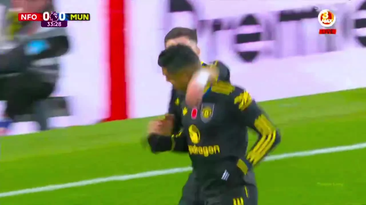 zaslepka skrotu video