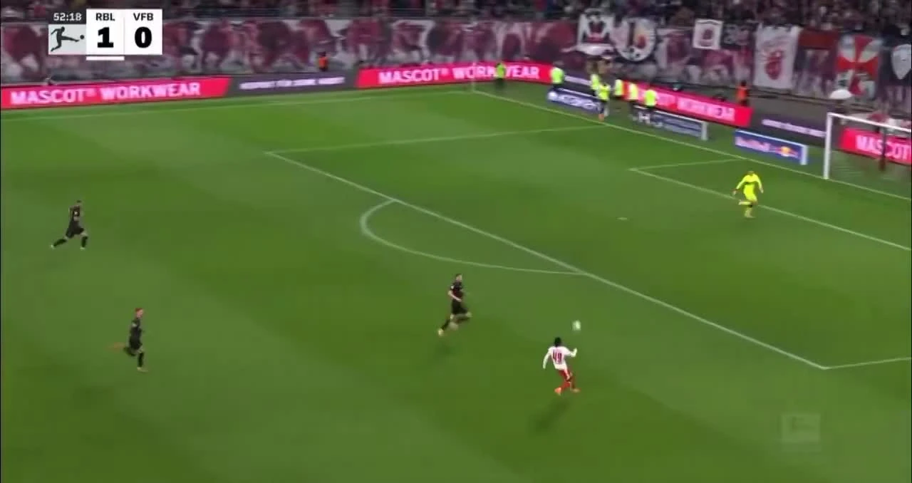 zaslepka skrotu video