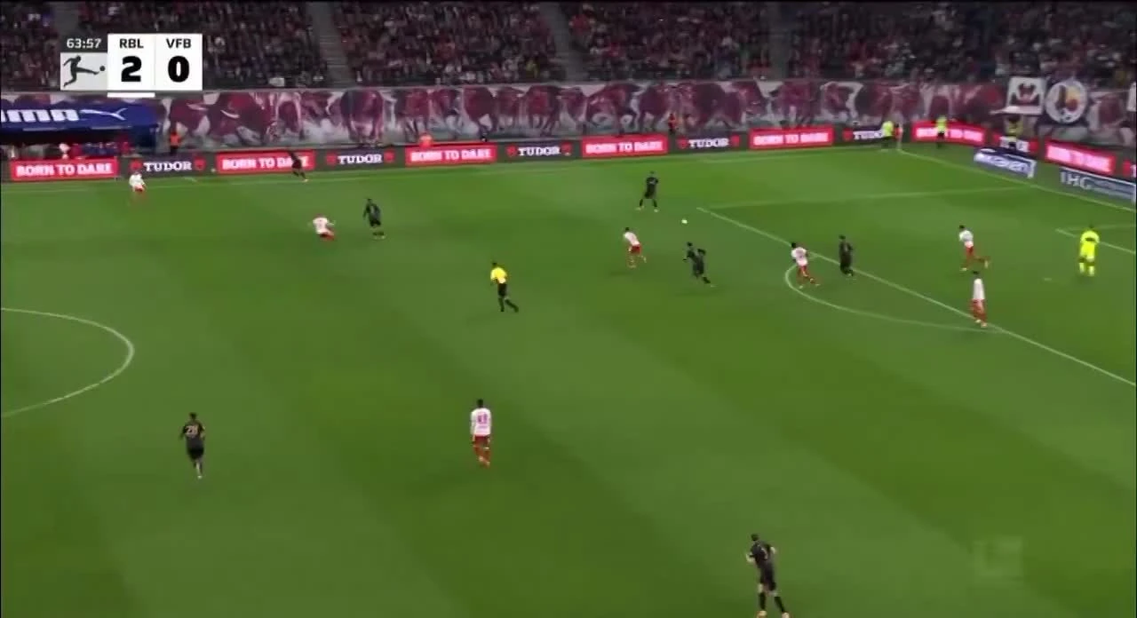 zaslepka skrotu video