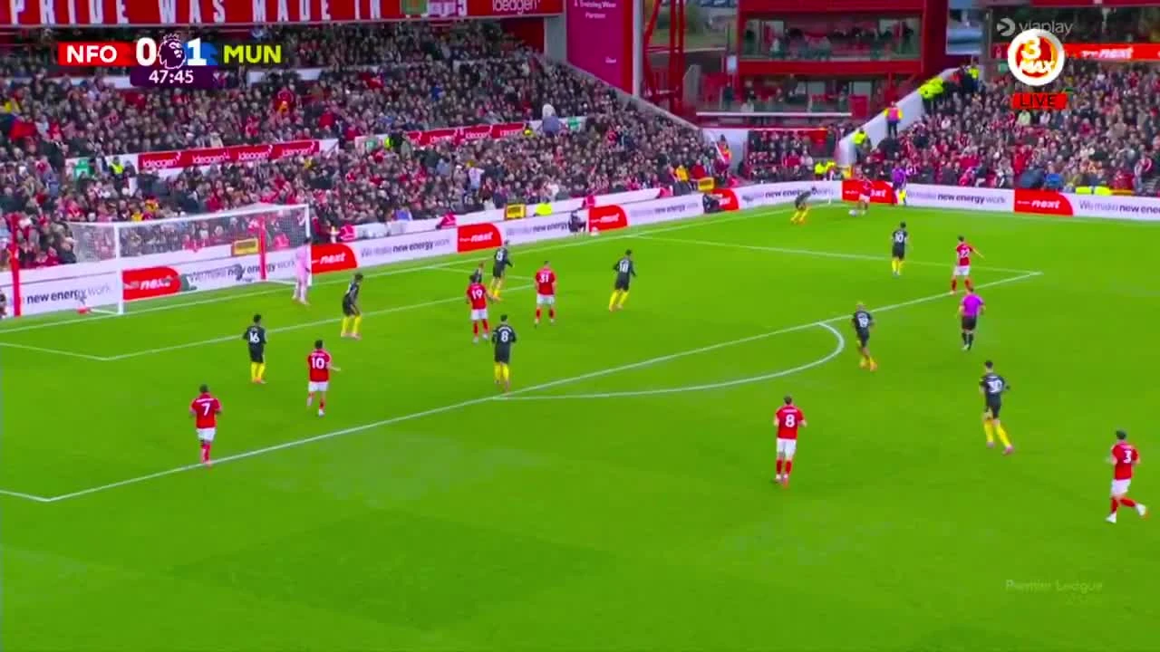 zaslepka skrotu video