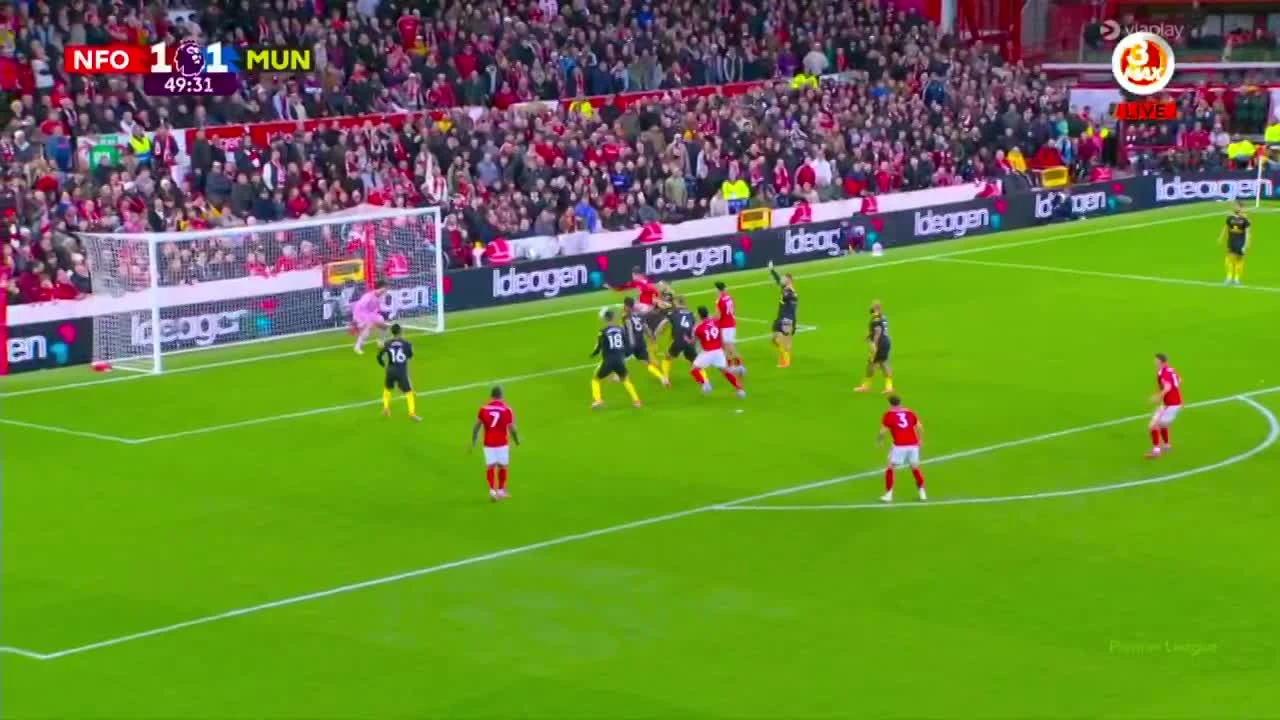 zaslepka skrotu video