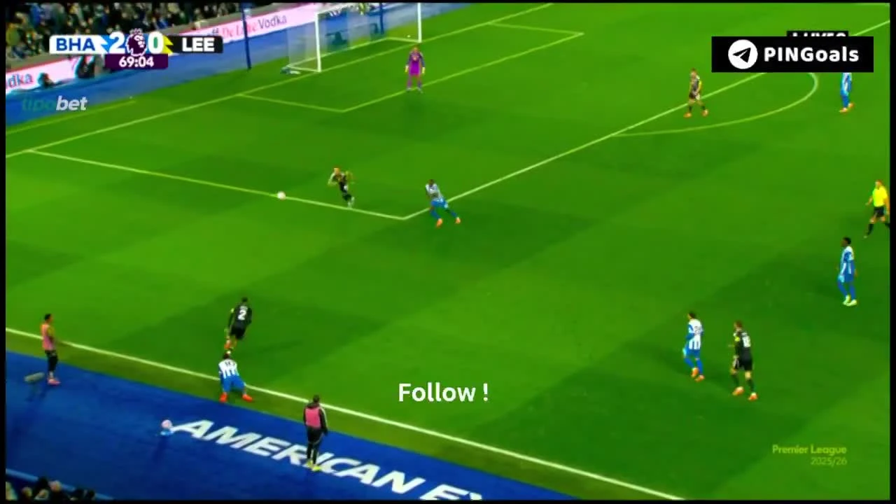 zaslepka skrotu video