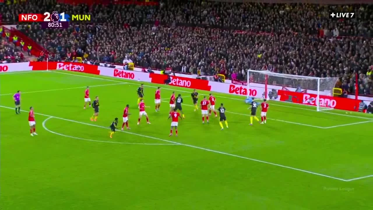 zaslepka skrotu video