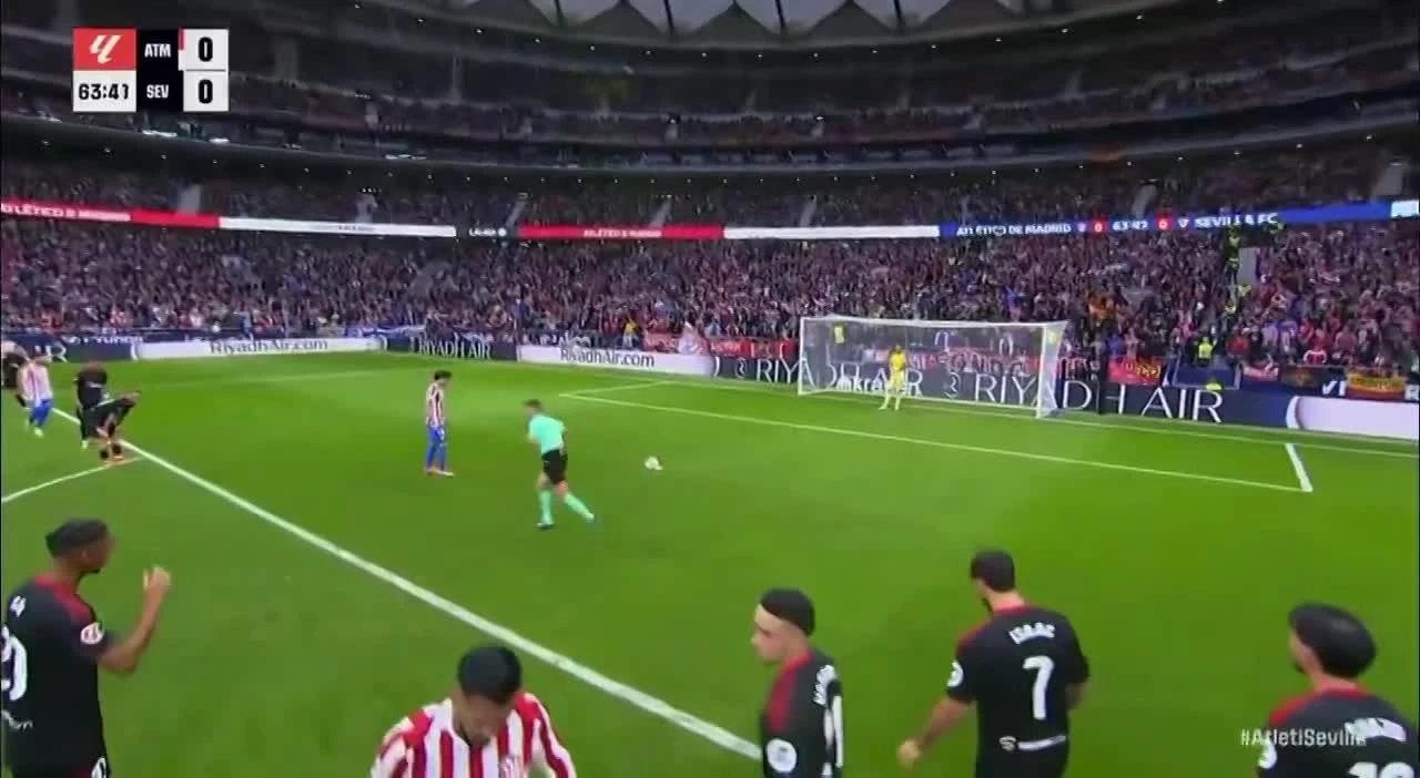 zaslepka skrotu video