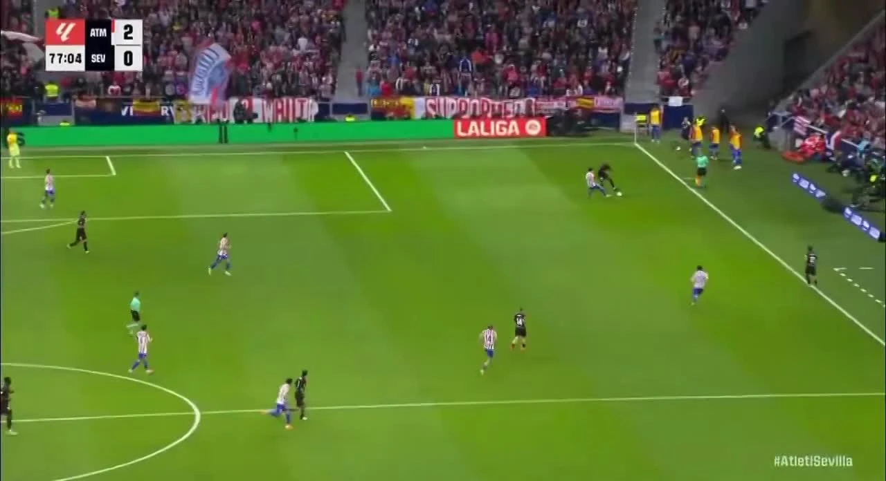 zaslepka skrotu video