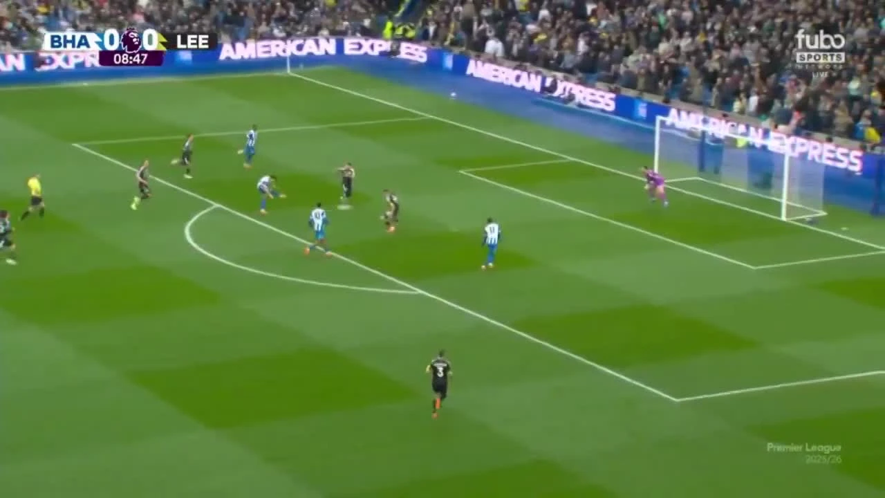 zaslepka skrotu video