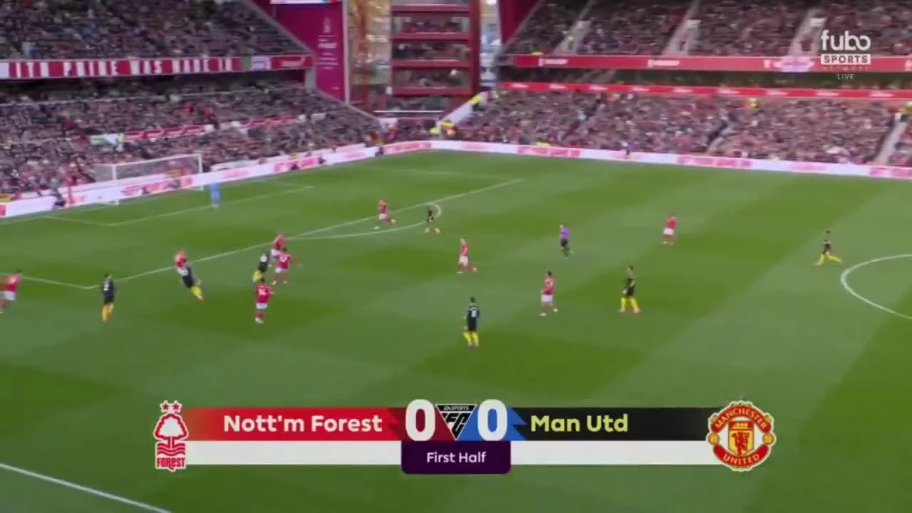 zaslepka skrotu video