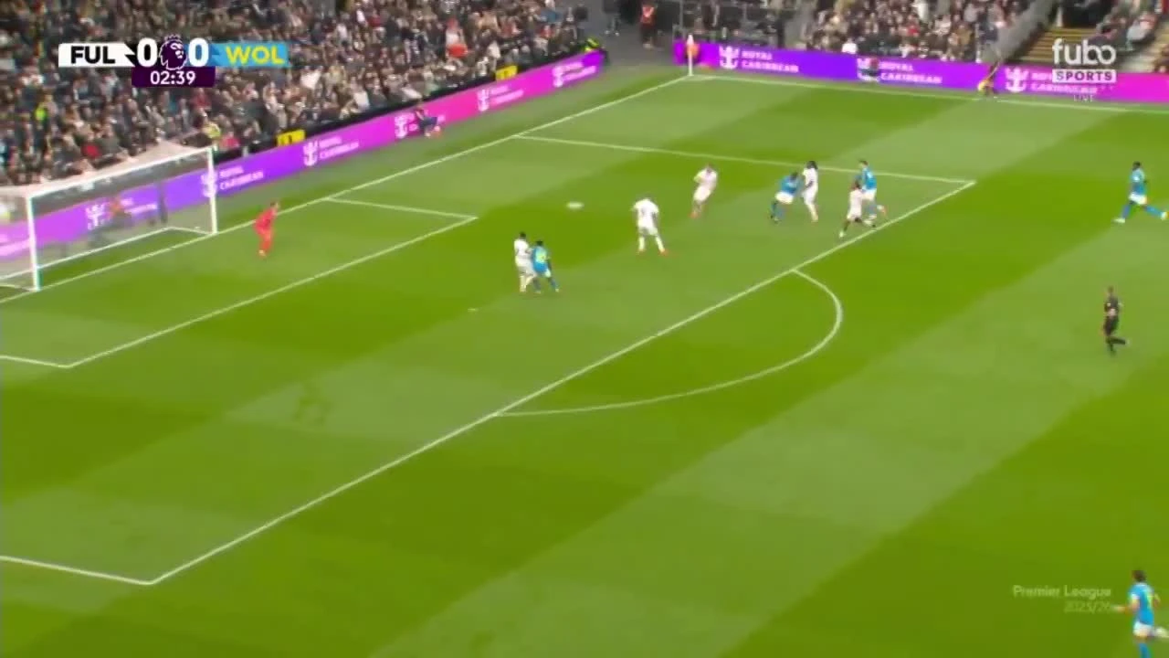 zaslepka skrotu video