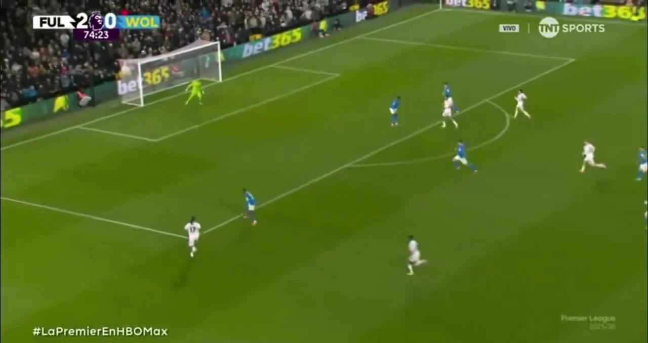 zaslepka skrotu video