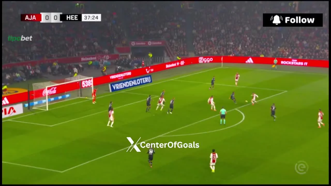 zaslepka skrotu video