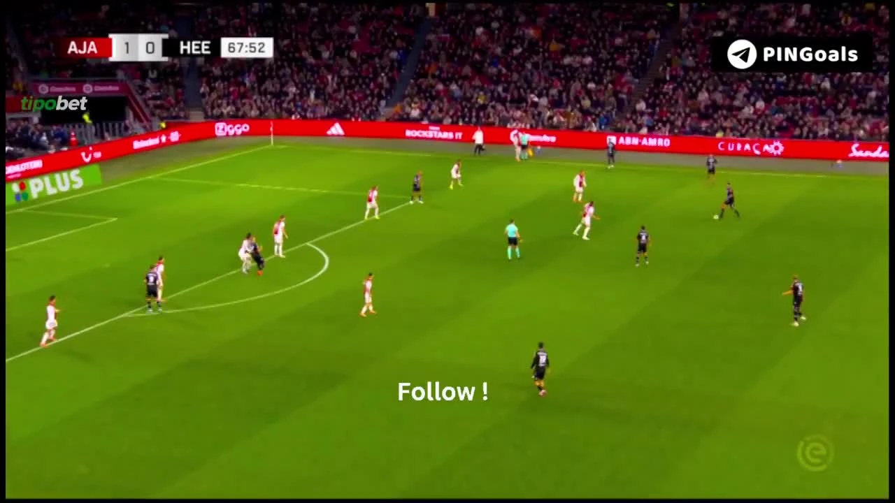 zaslepka skrotu video