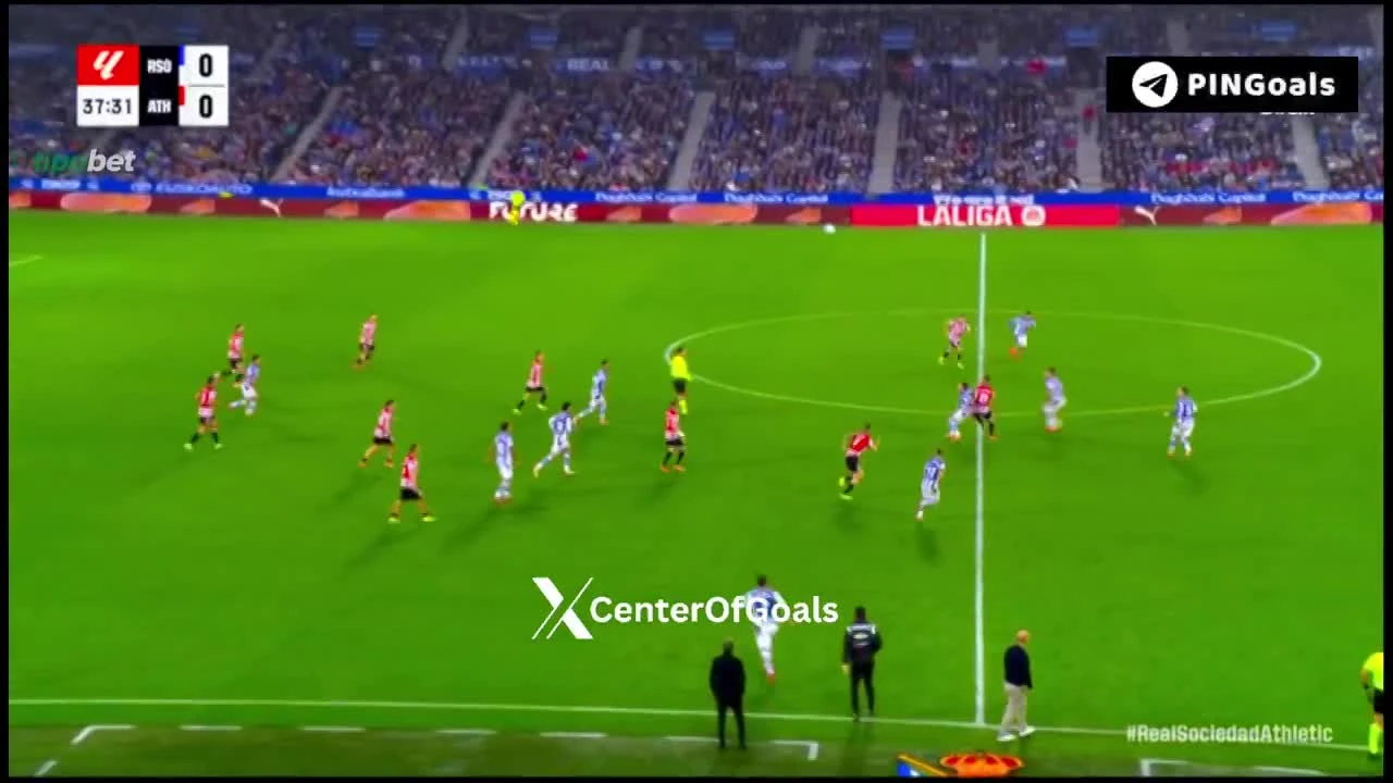 zaslepka skrotu video