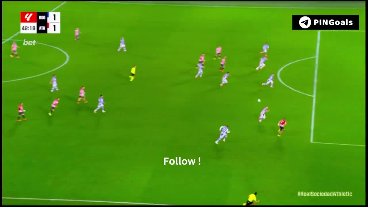 zaslepka skrotu video