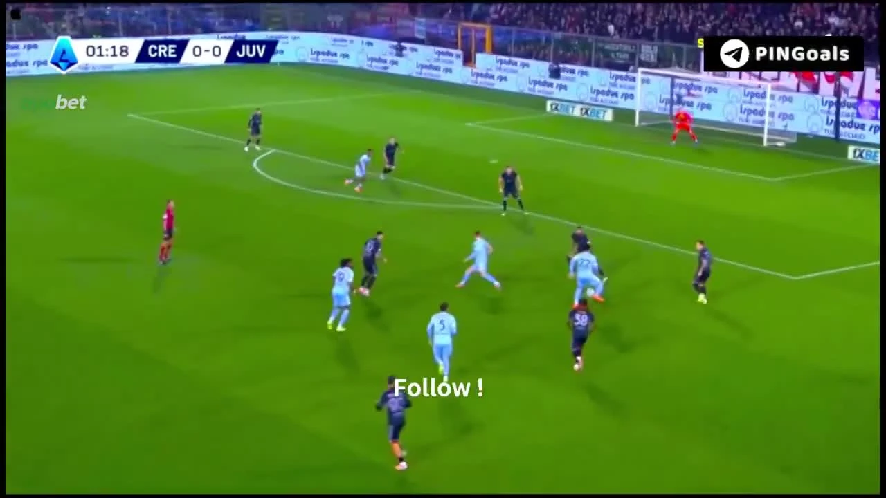 zaslepka skrotu video