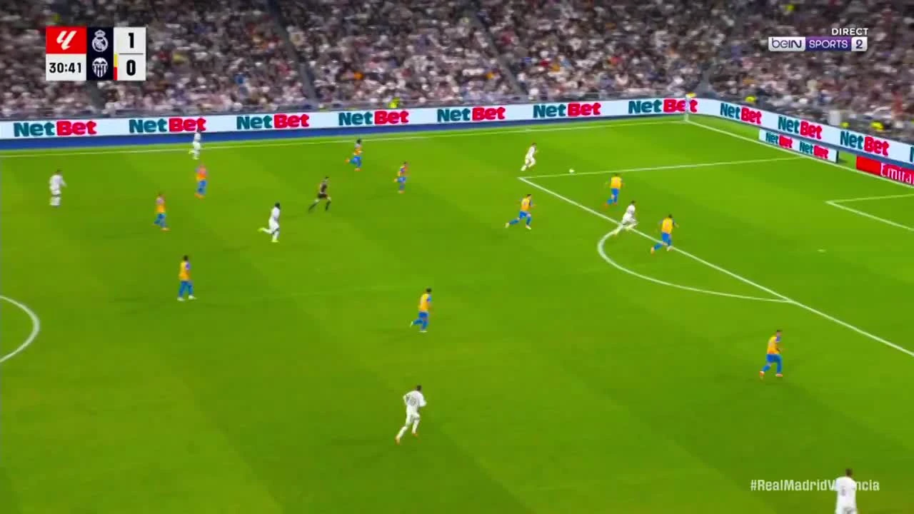 zaslepka skrotu video