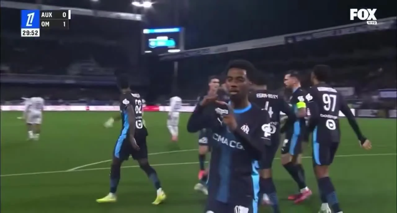 zaslepka skrotu video