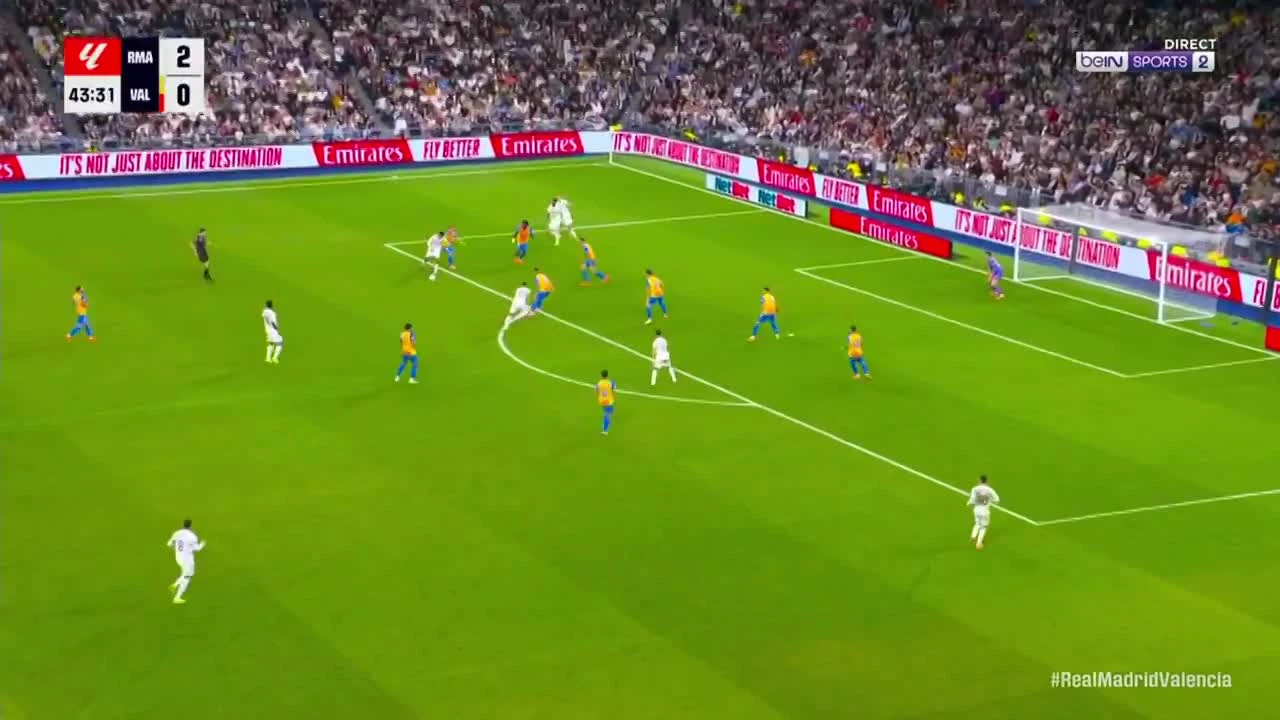 zaslepka skrotu video