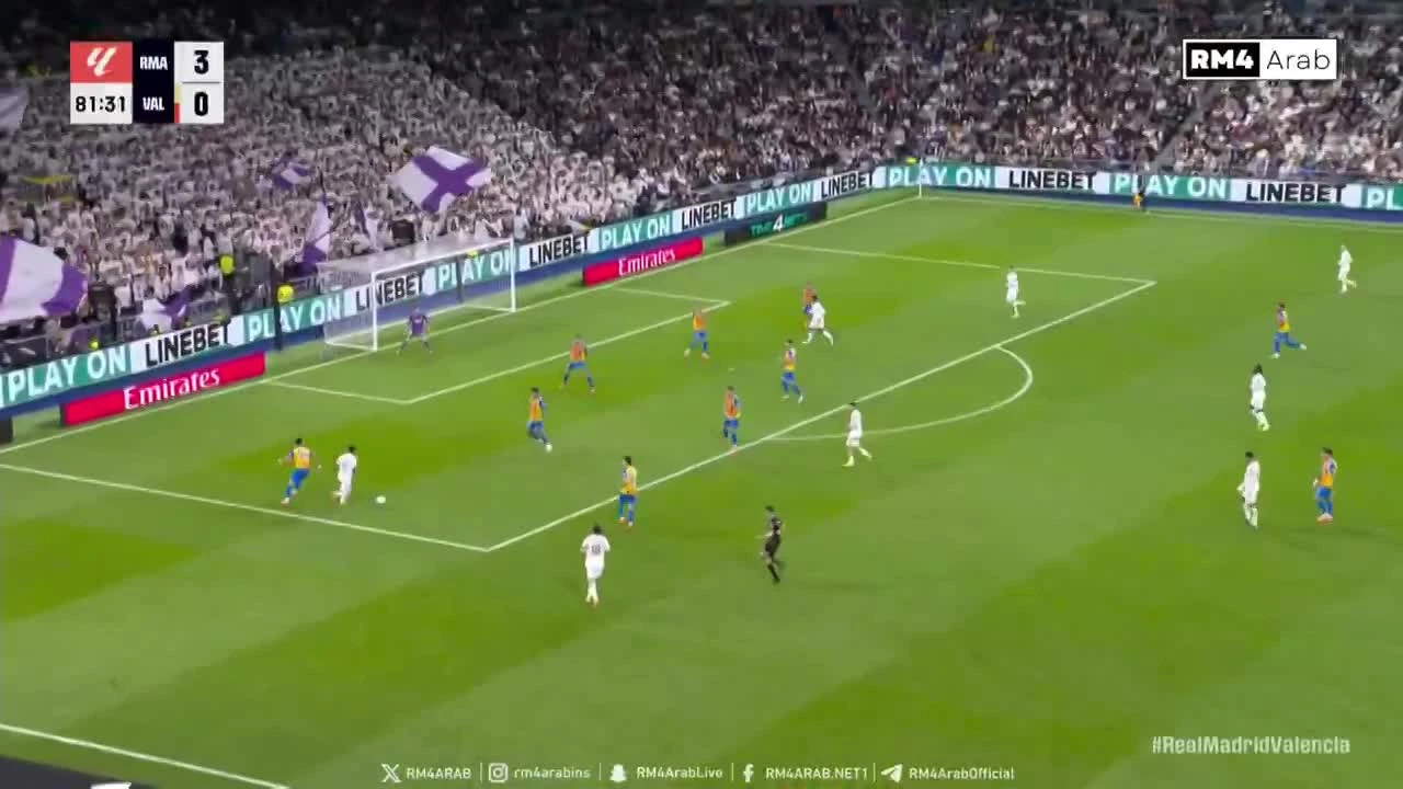 zaslepka skrotu video