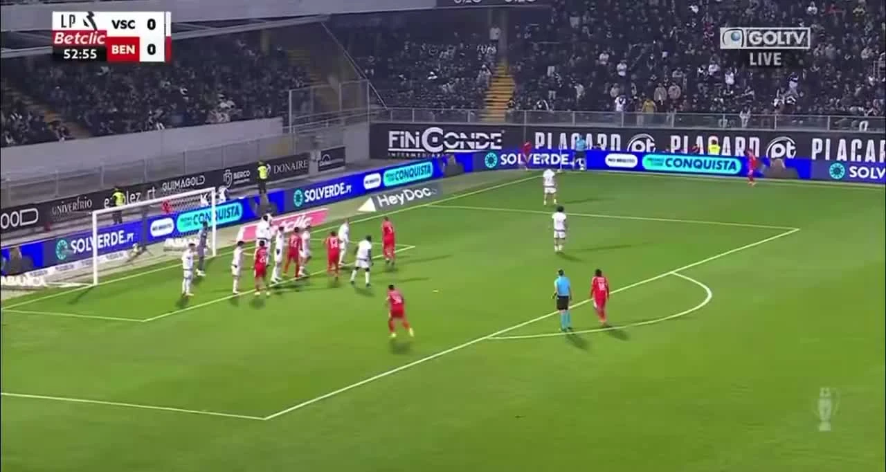 zaslepka skrotu video