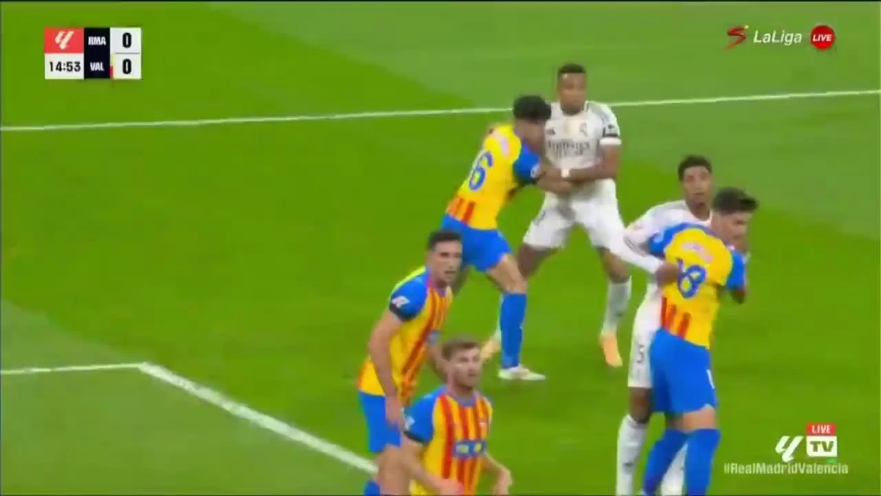 zaslepka skrotu video