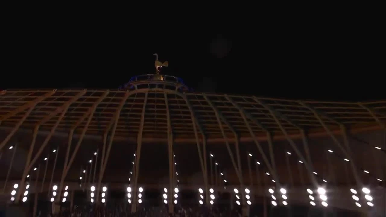 zaslepka skrotu video